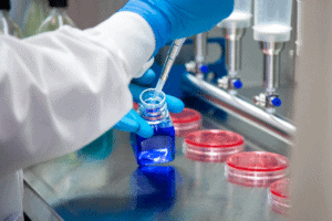 Dev - Singota Solutions Dev